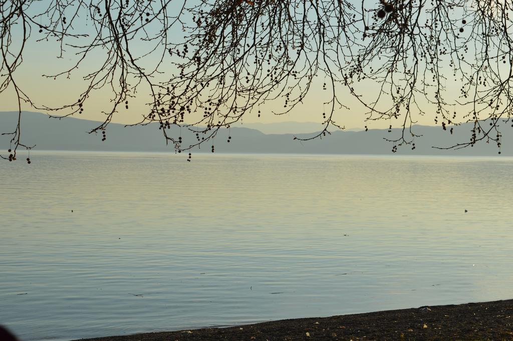Vila Sara Ohri Dış mekan fotoğraf