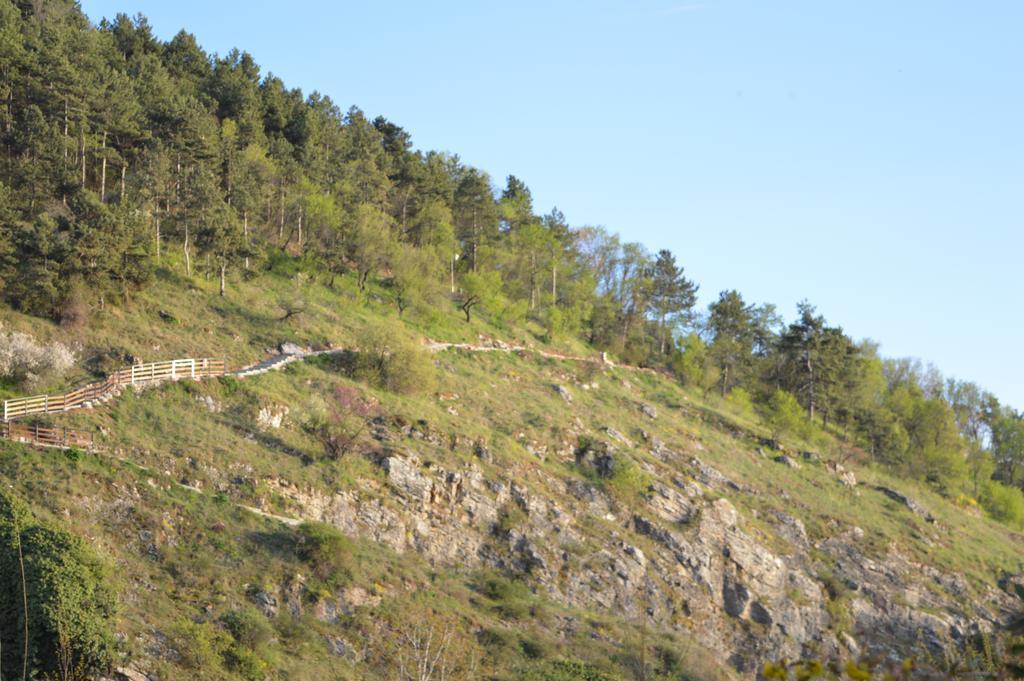 Vila Sara Ohri Dış mekan fotoğraf